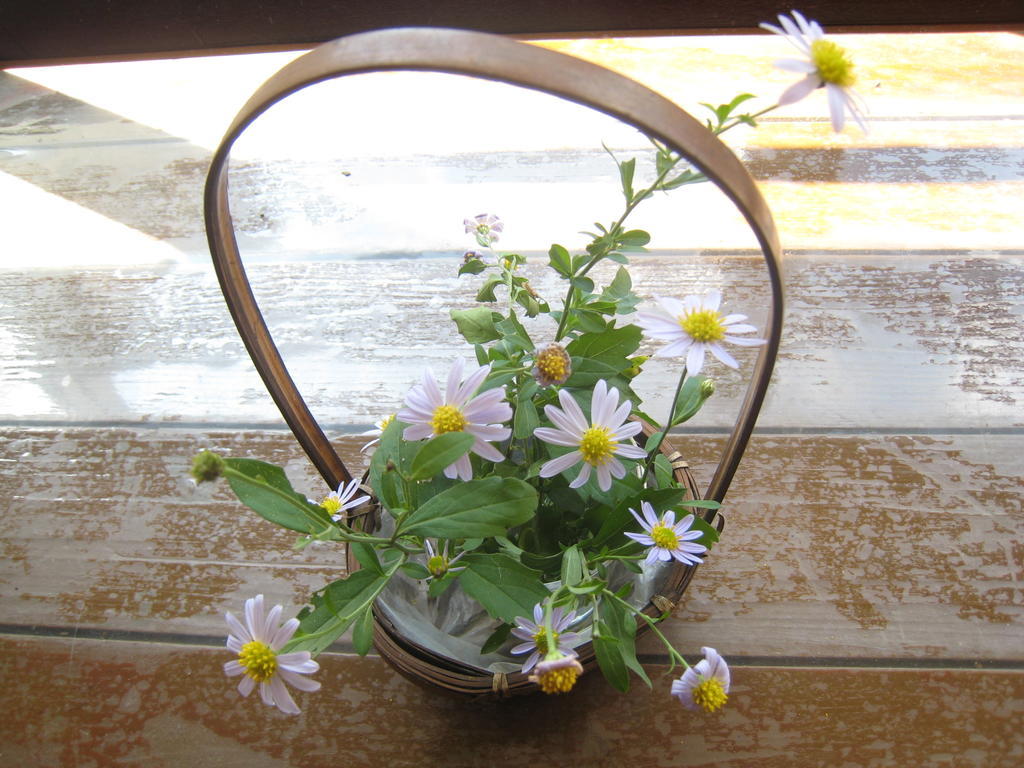 Futtsu Kajiya Ryokan מראה חיצוני תמונה